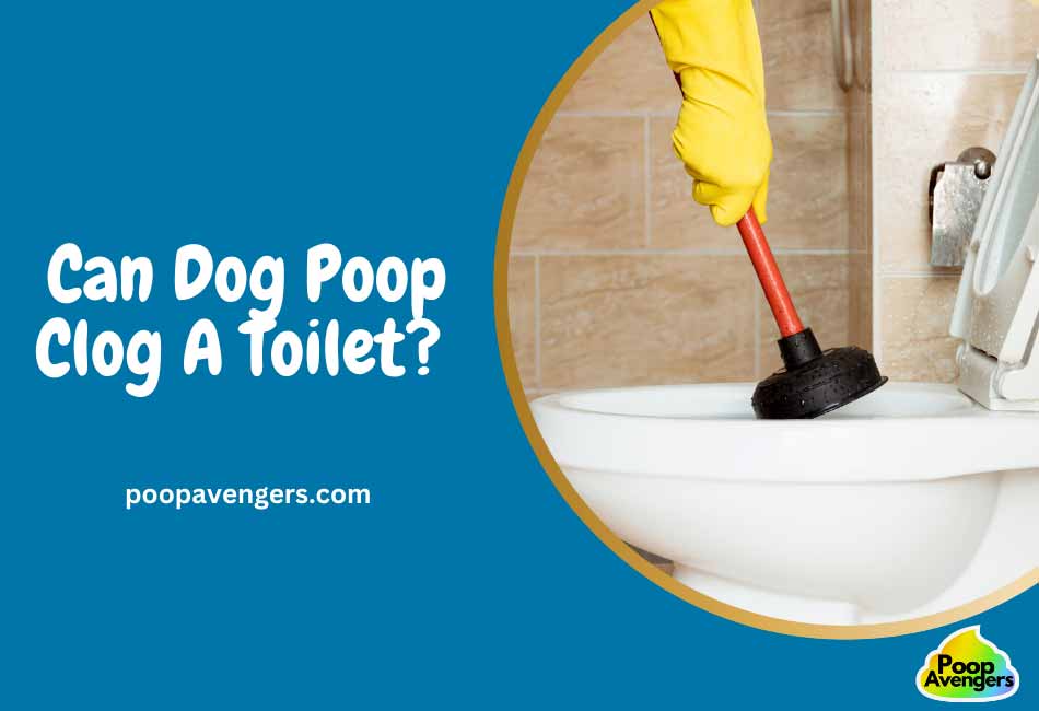 can-dog-poop-clog-a-toilet-yes-here-are-3-reasons-plus-fix-cleaning