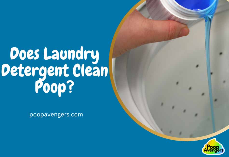 3 Reasons Laundry Detergents Clean Poop & 4 Home Remedies Cleaning