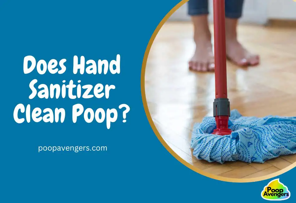 Does Hand Sanitizer Clean Poop?