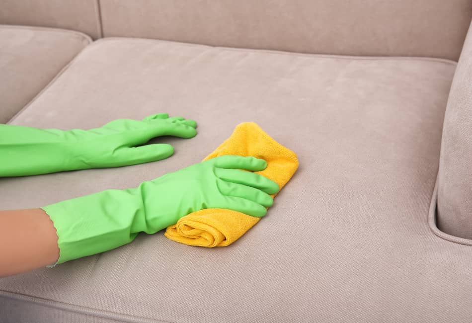 Comprehensive Guide on Cleaning Dog Poop from a Microfiber Couch