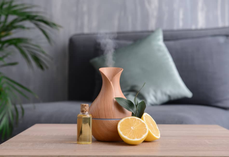 how to remove poop smell from room