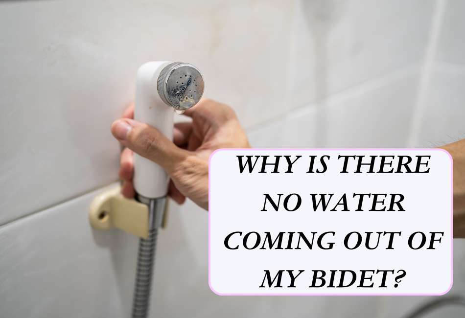 5-reasons-for-no-water-flow-from-bidet-3-solutions-cleaning-poop