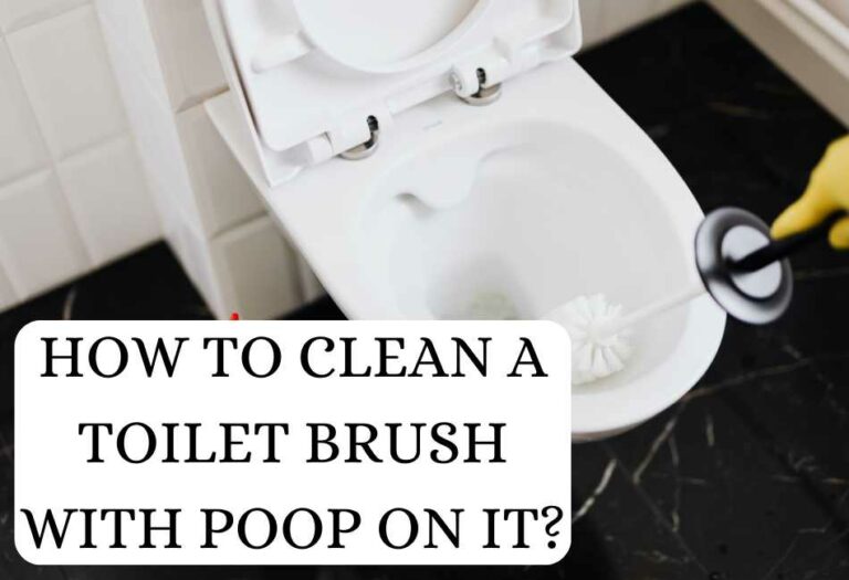 6 Home Remedies for Cleaning a Toilet Brush With Poop Cleaning Poop Stains Like A G.O.A.T