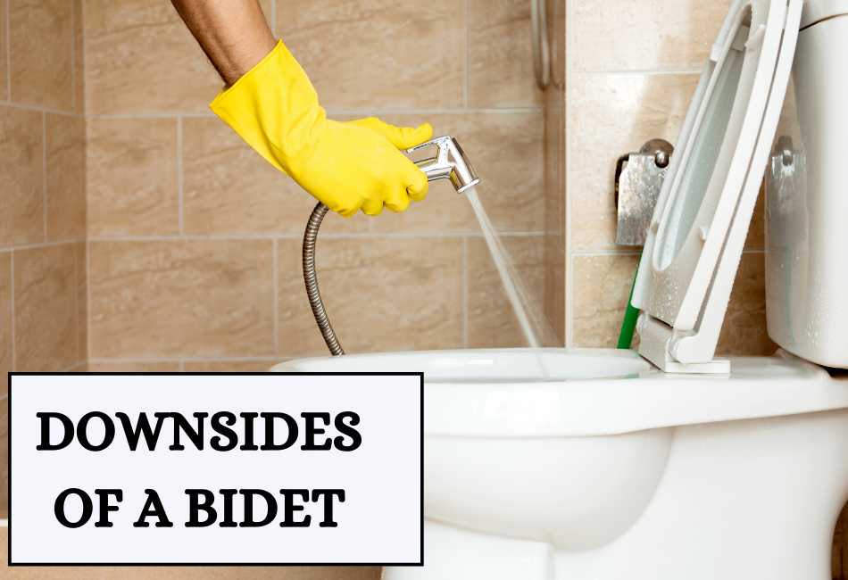 downsides-of-a-bidet