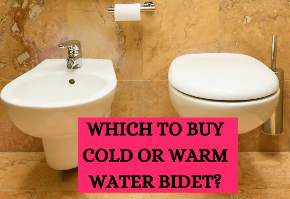 which-to-buy-cold-or-warm-water-bidet