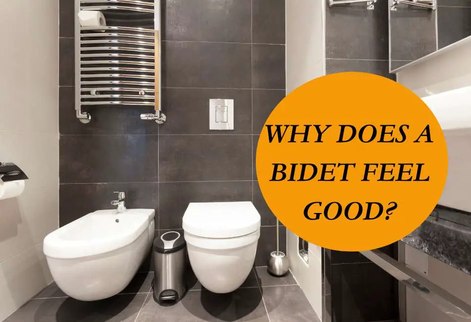 why-does-a-bidet-feel-good