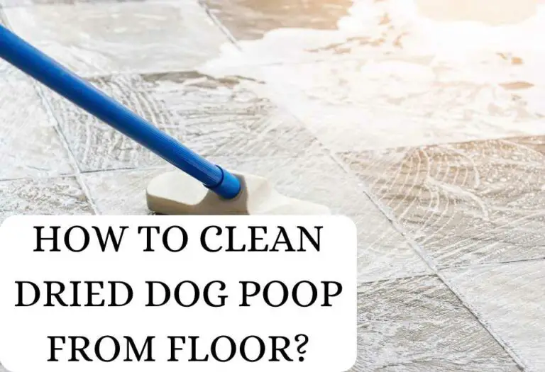 7 Home Remedies For Cleaning Dried Dog Poop From Floor Cleaning Poop
