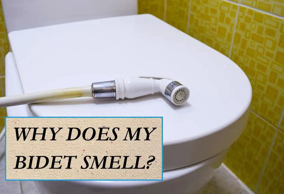 why-does-my-bidet-smell