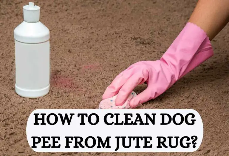 7 Home Remedies On How to Clean Dog Pee From a Jute Rug Cleaning Poop Stains Like A G.O.A.T
