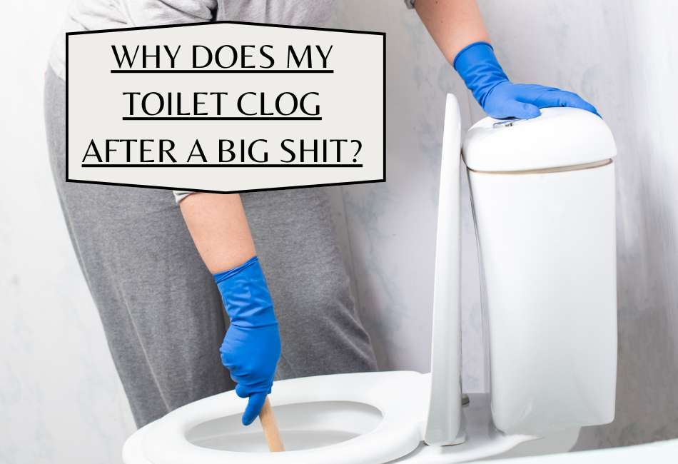 6-reasons-your-toilet-clogs-after-a-big-poop-plus-fix-cleaning-poop