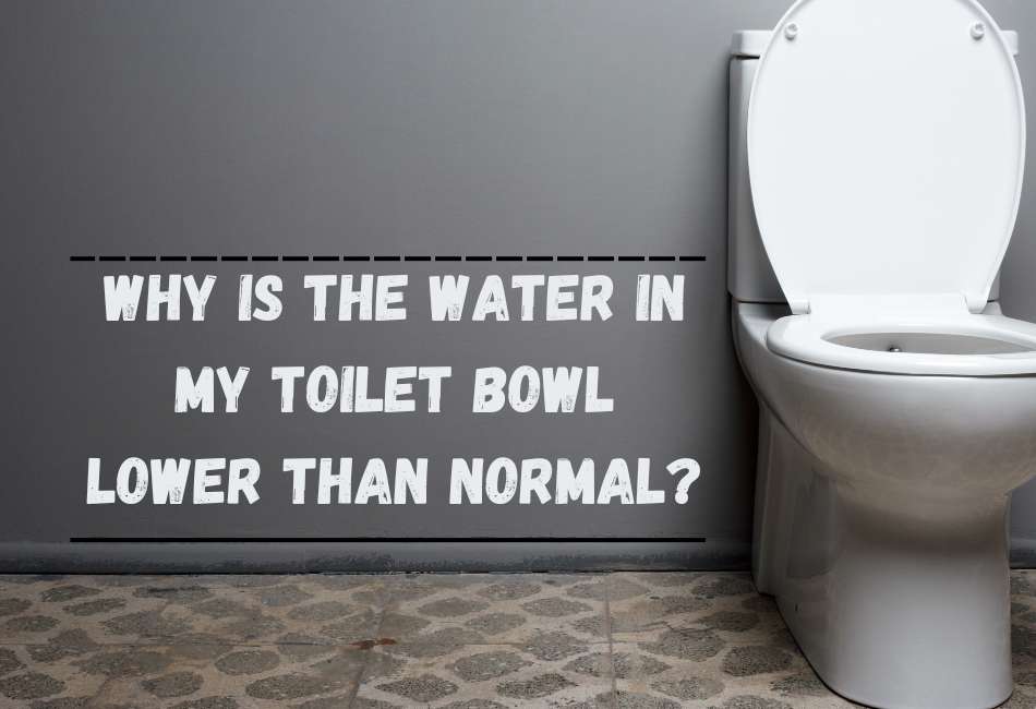 Why Is The Water In My Toilet Bowl Very Low