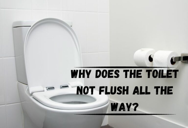 9 Reasons Your Toilet Isn’t Flushing All The Way – Cleaning Poop Stains ...