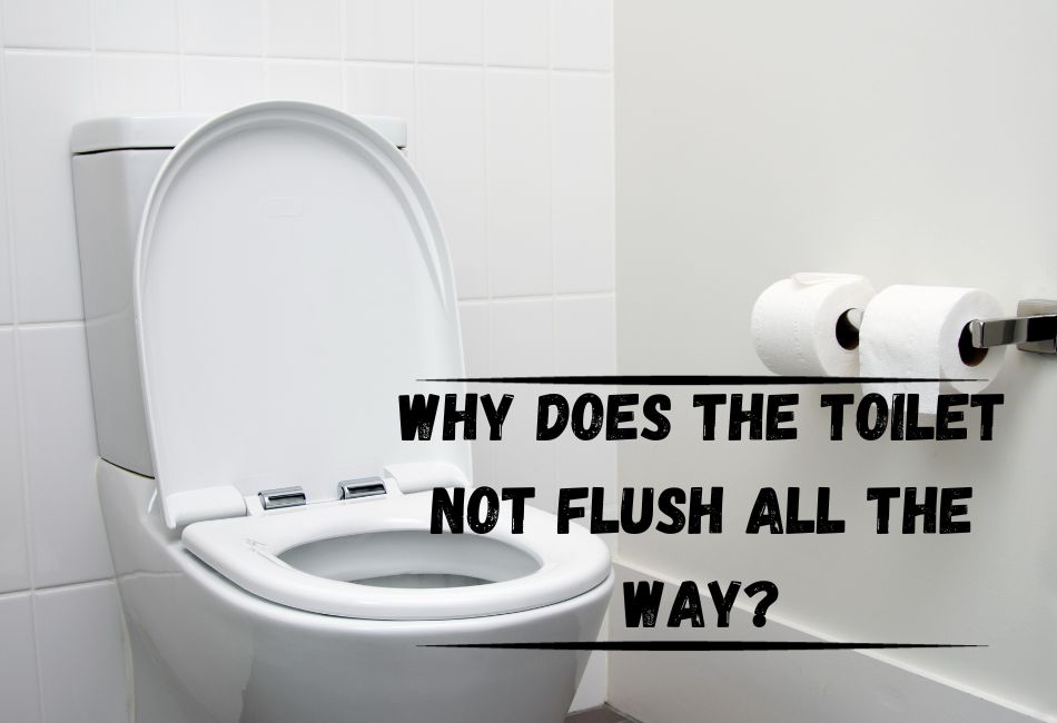 9 Reasons Your Toilet Isn’t Flushing All The Way Cleaning Poop Stains