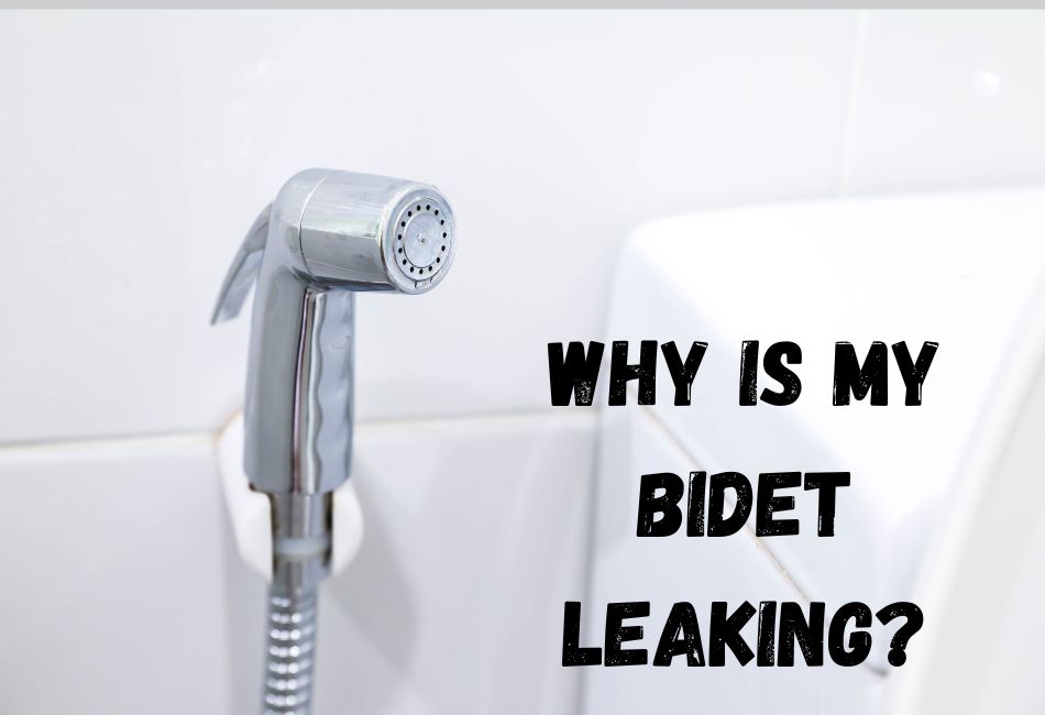 why-is-my-bidet-leaking