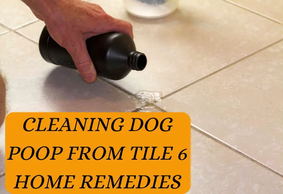 cleaning-dog-poop-from-tile-6-home-remedies-cleaning-poop-stains