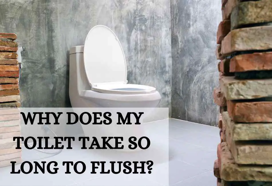 9 Reasons Your Toilet Takes a Long Time to Drain and Fix – Cleaning ...