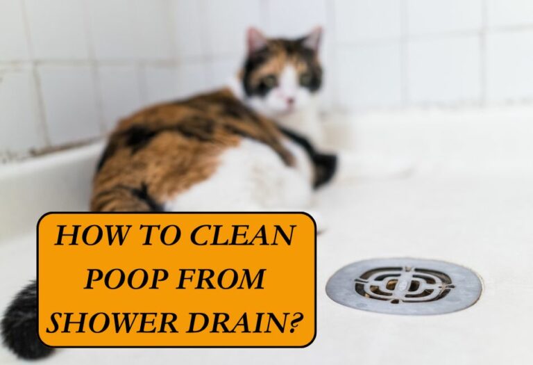 5 Home Remedies to Clean Poop from Shower Drain Cleaning Poop Stains