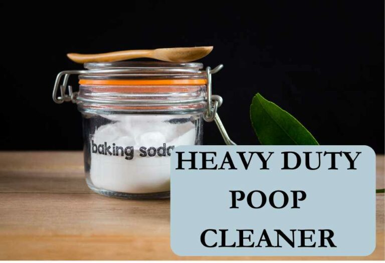 6 HeavyDuty DIY Cleaners for the Toughest Pet Poop Stains Cleaning